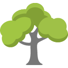 Powell Tree Removal