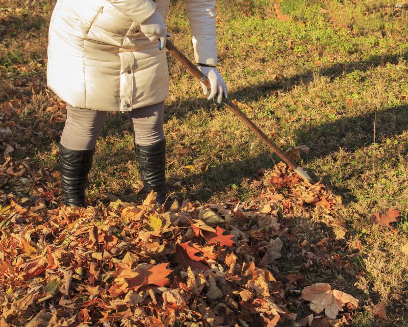 Seasonal Cleanup