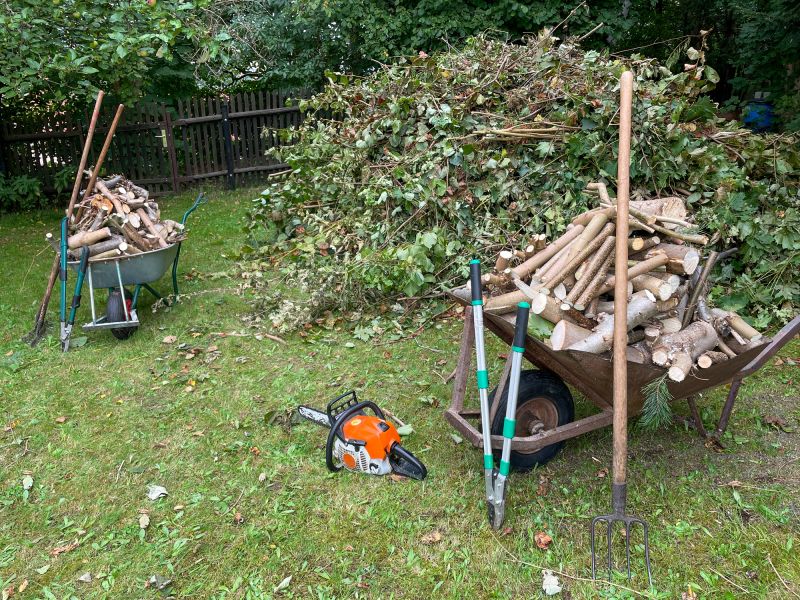 Property After Clearance