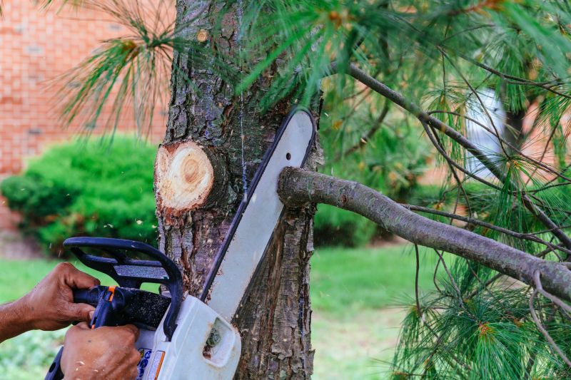 Tools You Actually Need