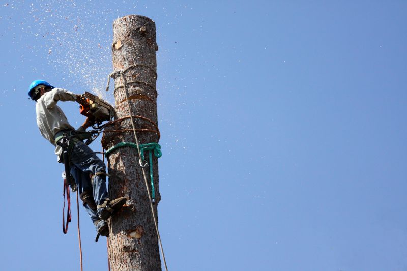 Safety Measures During Removal